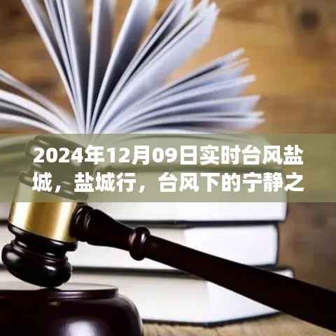 台风下的盐城探寻之旅,自然之美与内心宁静的交融之路(实时更新)