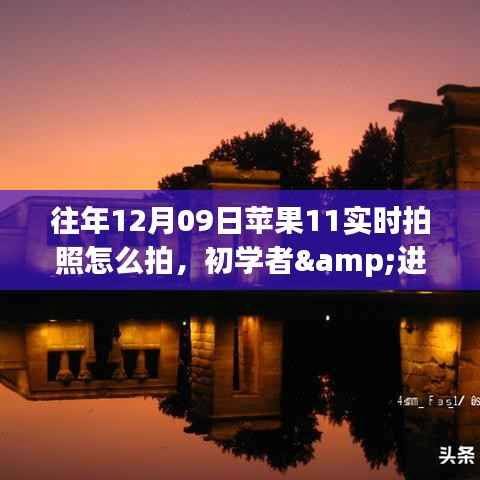 苹果11实时拍照全攻略,从初学者到进阶用户的拍摄指南(往年12月09日版)