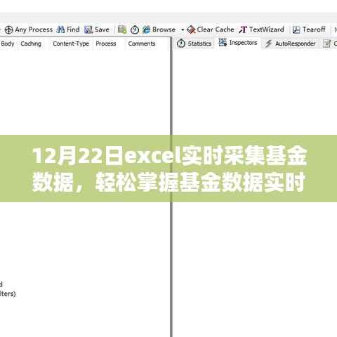 Excel基金数据实时采集进阶,掌握实时动态,轻松管理投资组合(12月22日)