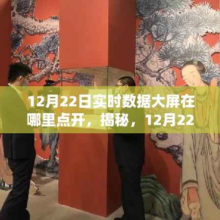 揭秘,如何开启12月22日实时数据大屏?