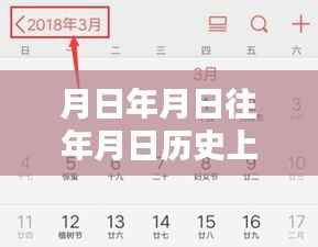 探秘历史与现实交织的物流轨迹，实时物流查询方法与特色小店揭秘