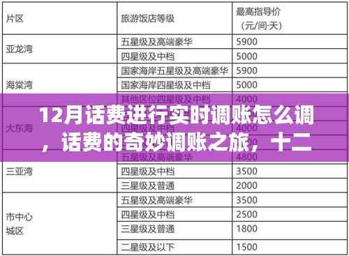 十二月话费实时调账指南,奇妙之旅与温情时刻
