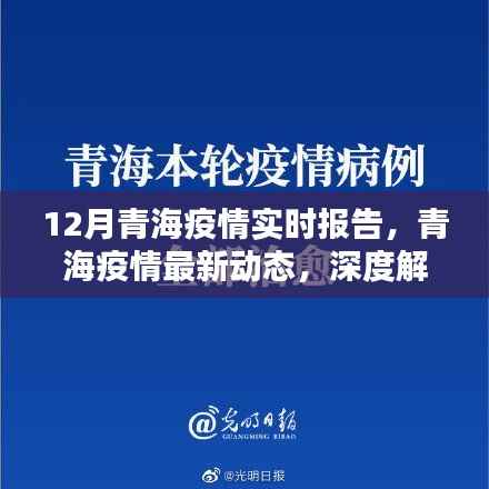 青海疫情深度解析,十二月实时报告与最新动态