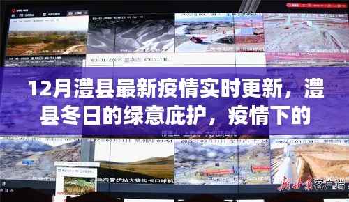 澧县疫情实时更新,冬日的绿意庇护与疫情下的自然探索