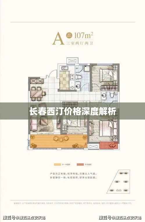 长春西汀价格深度解析