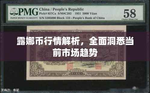 露娜币行情解析,全面洞悉当前市场趋势