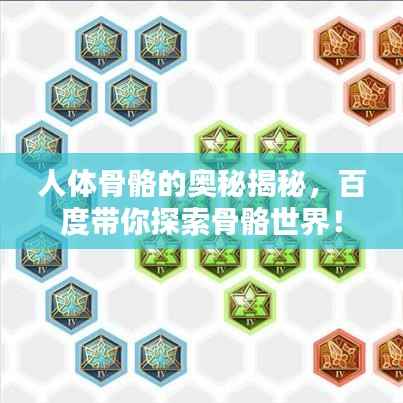 人体骨骼的奥秘揭秘,百度带你探索骨骼世界!