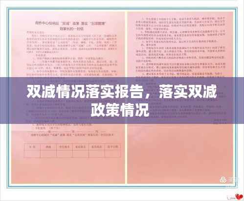 双减情况落实报告,落实双减政策情况