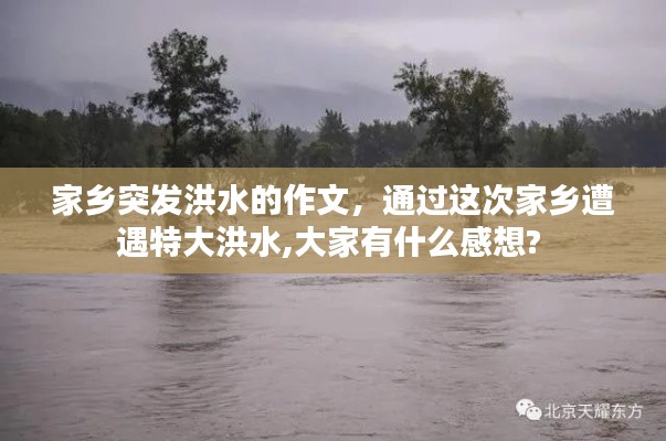 家乡突发洪水的作文,通过这次家乡遭遇特大洪水,大家有什么感想?