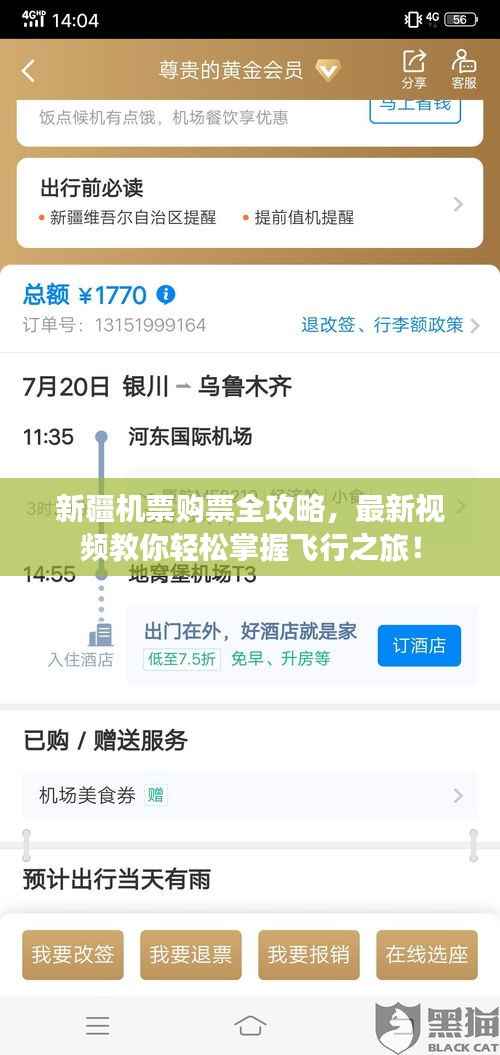 新疆机票购票全攻略,最新视频教你轻松掌握飞行之旅!