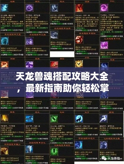 天龙兽魂搭配攻略大全,最新指南助你轻松掌握搭配技巧!