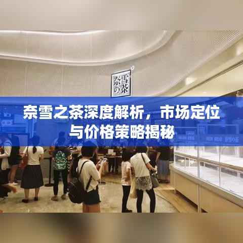 奈雪之茶深度解析,市场定位与价格策略揭秘