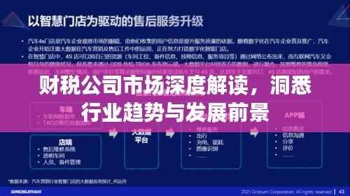 财税公司市场深度解读,洞悉行业趋势与发展前景
