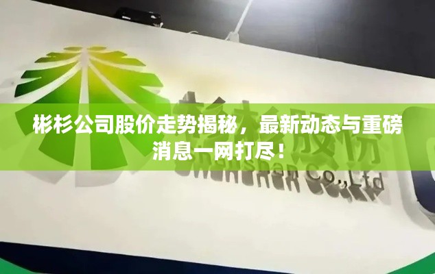 彬杉公司股价走势揭秘,最新动态与重磅消息一网打尽!