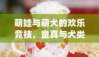 萌娃与萌犬的欢乐竞技,童真与犬类互动的美好瞬间视频