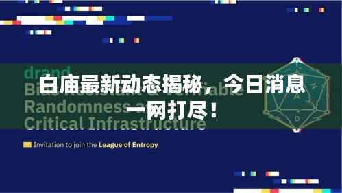 白庙最新动态揭秘,今日消息一网打尽!