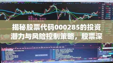 揭秘股票代码000285的投资潜力与风险控制策略,股票深度解析