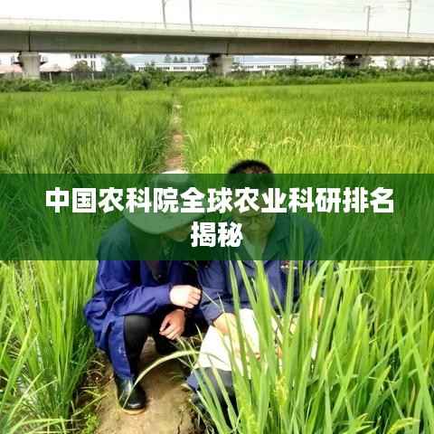 中国农科院全球农业科研排名揭秘