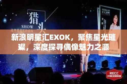 新浪明星汇EXOK,聚焦星光璀璨,深度探寻偶像魅力之源