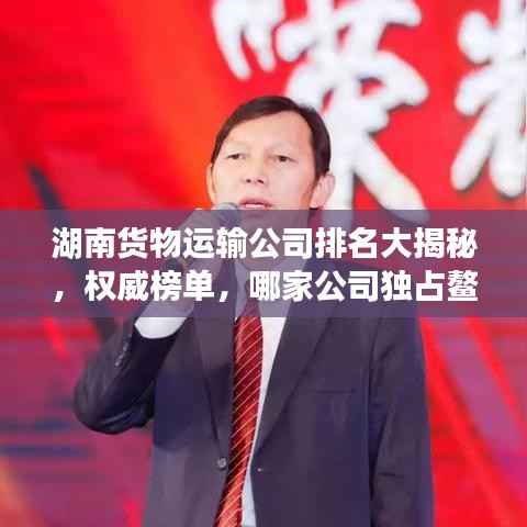 湖南货物运输公司排名大揭秘,权威榜单,哪家公司独占鳌头?