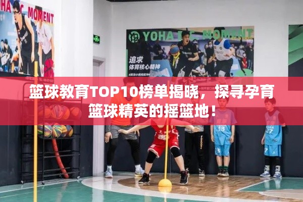 篮球教育TOP10榜单揭晓,探寻孕育篮球精英的摇篮地!