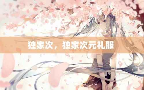 独家次,独家次元礼服