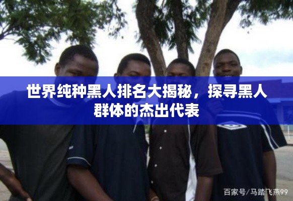 世界纯种黑人排名大揭秘,探寻黑人群体的杰出代表