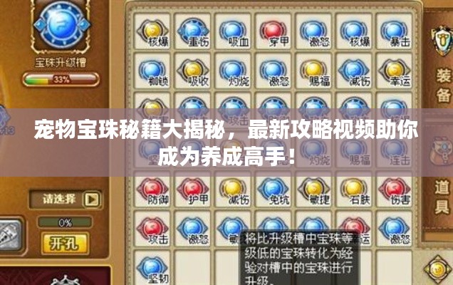 宠物宝珠秘籍大揭秘,最新攻略视频助你成为养成高手!