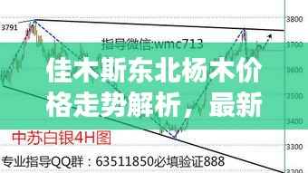 佳木斯东北杨木价格走势解析,最新行情一览