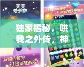 独家揭秘,哄我之外传,神秘番外分享在百度网盘