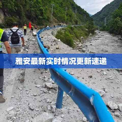 雅安最新实时情况更新速递