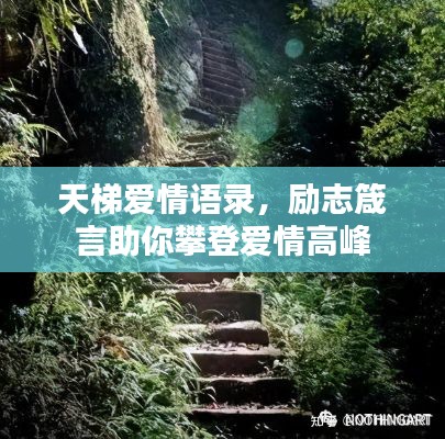 天梯爱情语录,励志箴言助你攀登爱情高峰