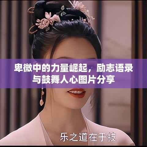 卑微中的力量崛起,励志语录与鼓舞人心图片分享