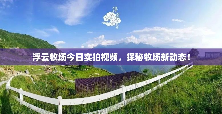 浮云牧场今日实拍视频,探秘牧场新动态!