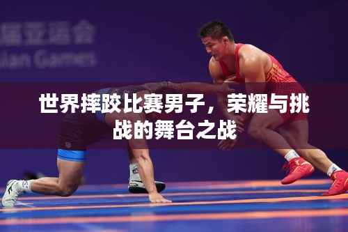 世界摔跤比赛男子,荣耀与挑战的舞台之战