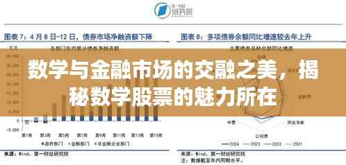 数学与金融市场的交融之美,揭秘数学股票的魅力所在