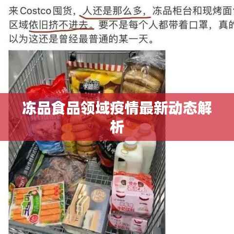 冻品食品领域疫情最新动态解析
