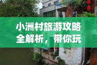 小洲村旅游攻略全解析,带你玩转这座魅力村落!