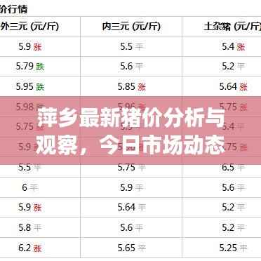 萍乡最新猪价分析与观察,今日市场动态揭秘