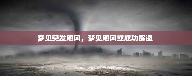 怀真抱素 第2页