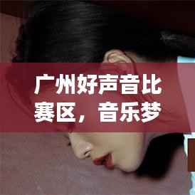 广州好声音比赛区,音乐梦想绽放的舞台