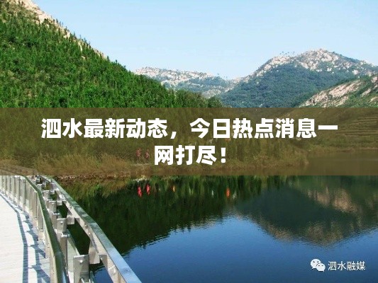 泗水最新动态,今日热点消息一网打尽!
