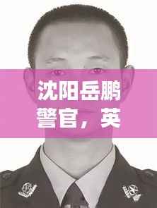 沈阳岳鹏警官,英雄形象的新时代典范