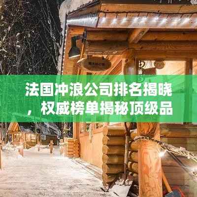 法国冲浪公司排名揭晓,权威榜单揭秘顶级品牌!