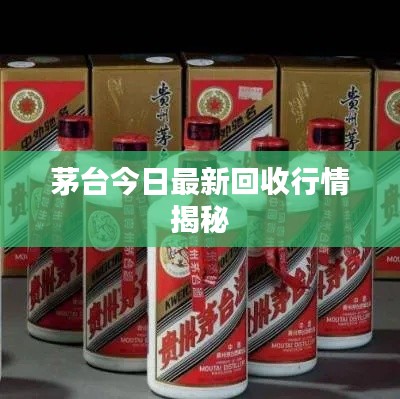 茅台今日最新回收行情揭秘