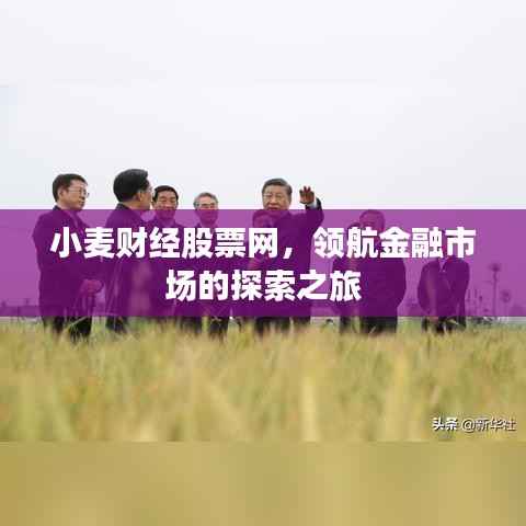 小麦财经股票网,领航金融市场的探索之旅