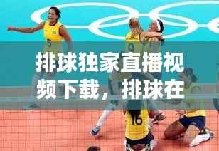 排球独家直播视频下载,排球在线直播免插件
