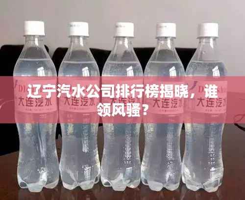 辽宁汽水公司排行榜揭晓,谁领风骚?