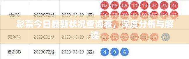 彩票今日最新状况查询表,深度分析与解读