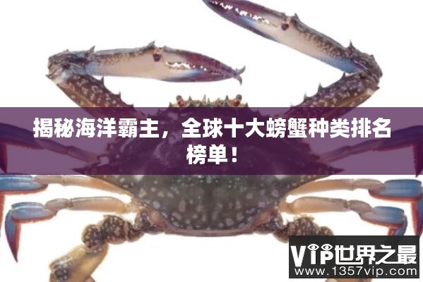 揭秘海洋霸主,全球十大螃蟹种类排名榜单!